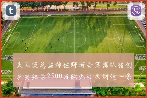 美因茨总监称佐野海舟若离队将创历史纪录2500万欧无法买到他一条腿