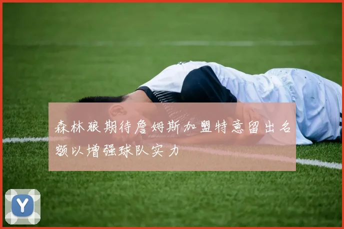 森林狼期待詹姆斯加盟特意留出名额以增强球队实力