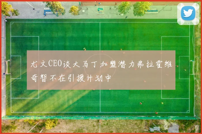 尤文CEO谈大马丁加盟潜力弗拉霍维奇暂不在引援计划中
